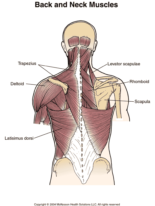 Rhomboid