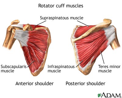 RotatorCuff